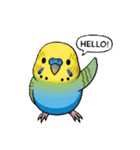 セキセイインコの楽しい1日（個別スタンプ：3）