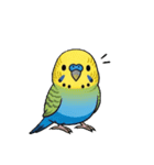 セキセイインコの楽しい1日（個別スタンプ：5）