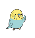 セキセイインコの楽しい1日（個別スタンプ：6）