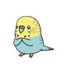 セキセイインコの楽しい1日（個別スタンプ：8）