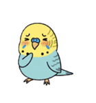 セキセイインコの楽しい1日（個別スタンプ：9）