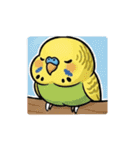 セキセイインコの楽しい1日（個別スタンプ：12）