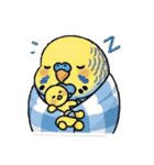 セキセイインコの楽しい1日（個別スタンプ：13）