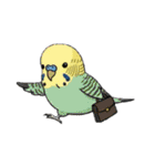セキセイインコの楽しい1日（個別スタンプ：17）