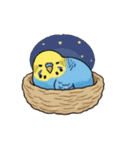 セキセイインコの楽しい1日（個別スタンプ：19）