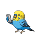 セキセイインコの楽しい1日（個別スタンプ：33）