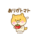 ゆる柴犬のダジャレカスタムだよ（個別スタンプ：19）
