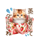 頑張る猫とスイーツスタンプ✩.*˚（個別スタンプ：25）