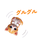 ツッコミ待ちアニマルズ（個別スタンプ：39）