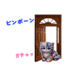 ツッコミ待ちアニマルズ（個別スタンプ：40）