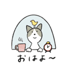 おかっぱちゃんと猫 たべもの編（個別スタンプ：7）
