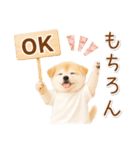ポジティブな気持ちを伝える☆垂れ耳柴犬（個別スタンプ：1）