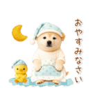 ポジティブな気持ちを伝える☆垂れ耳柴犬（個別スタンプ：12）