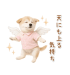 ポジティブな気持ちを伝える☆垂れ耳柴犬（個別スタンプ：17）