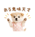 ポジティブな気持ちを伝える☆垂れ耳柴犬（個別スタンプ：22）