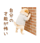 ポジティブな気持ちを伝える☆垂れ耳柴犬（個別スタンプ：27）