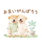 ポジティブな気持ちを伝える☆垂れ耳柴犬（個別スタンプ：30）