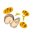 わりとつかえるアニマルスタンプ（個別スタンプ：17）