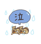 わりとつかえるアニマルスタンプ（個別スタンプ：35）