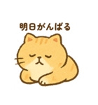 やる気ゼロのねこ（個別スタンプ：13）
