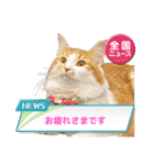 わが家のニャンTube☆2（個別スタンプ：7）