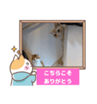 わが家のニャンTube☆2（個別スタンプ：8）