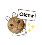 わが家のニャンTube☆3（個別スタンプ：8）