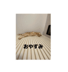 わが家のニャンTube☆3（個別スタンプ：13）