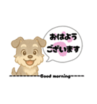 いろんなシュナウザー(ごちゃ混ぜver.)（個別スタンプ：1）