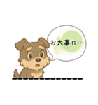 いろんなシュナウザー(ごちゃ混ぜver.)（個別スタンプ：5）