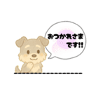 いろんなシュナウザー(ごちゃ混ぜver.)（個別スタンプ：11）