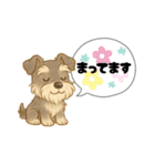 いろんなシュナウザー(ごちゃ混ぜver.)（個別スタンプ：12）