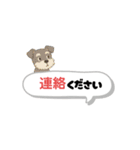 いろんなシュナウザー(ごちゃ混ぜver.)（個別スタンプ：13）