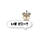 いろんなシュナウザー(ごちゃ混ぜver.)（個別スタンプ：15）
