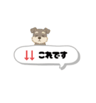 いろんなシュナウザー(ごちゃ混ぜver.)（個別スタンプ：16）