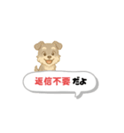 いろんなシュナウザー(ごちゃ混ぜver.)（個別スタンプ：17）