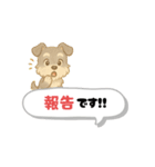 いろんなシュナウザー(ごちゃ混ぜver.)（個別スタンプ：19）