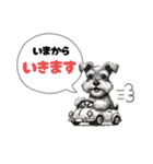 いろんなシュナウザー(ごちゃ混ぜver.)（個別スタンプ：21）
