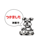 いろんなシュナウザー(ごちゃ混ぜver.)（個別スタンプ：23）