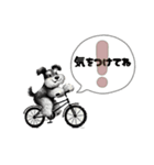 いろんなシュナウザー(ごちゃ混ぜver.)（個別スタンプ：26）