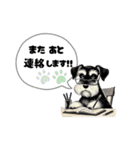 いろんなシュナウザー(ごちゃ混ぜver.)（個別スタンプ：28）