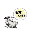 いろんなシュナウザー(ごちゃ混ぜver.)（個別スタンプ：31）