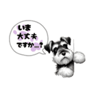 いろんなシュナウザー(ごちゃ混ぜver.)（個別スタンプ：36）