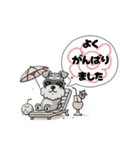 いろんなシュナウザー(ごちゃ混ぜver.)（個別スタンプ：37）