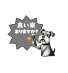 いろんなシュナウザー(ごちゃ混ぜver.)（個別スタンプ：39）