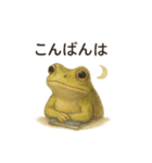カエルのごあいさつセット（個別スタンプ：3）