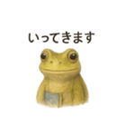 カエルのごあいさつセット（個別スタンプ：5）