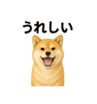 柴犬☆日常会話☆（個別スタンプ：31）