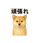 柴犬☆日常会話☆（個別スタンプ：32）