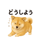 柴犬☆日常会話☆（個別スタンプ：35）